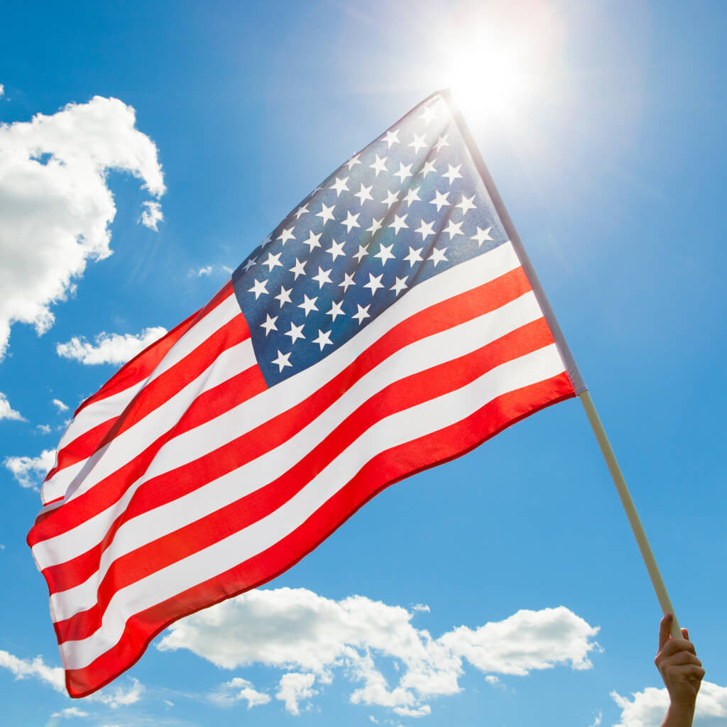 Person Holding Flag in Sky