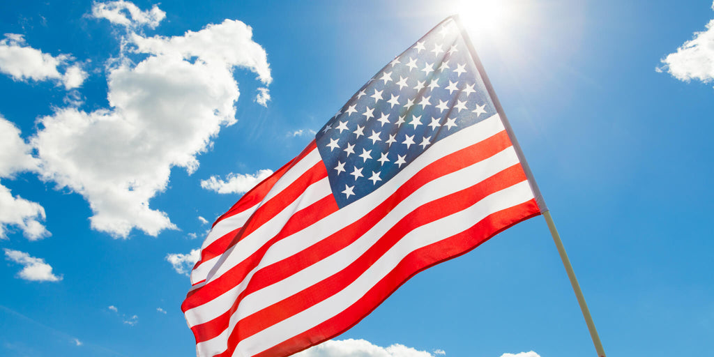Person Holding Flag in Sky
