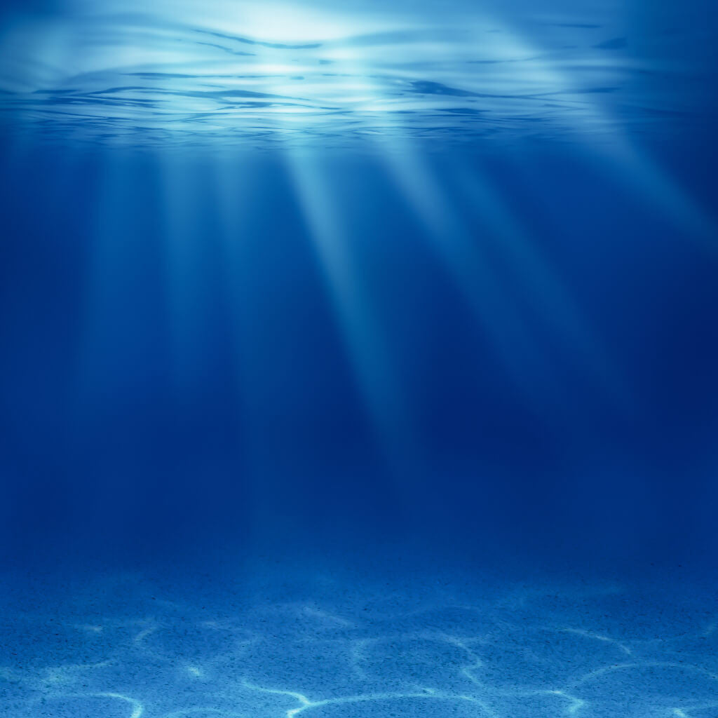 Underwater Sun Rays