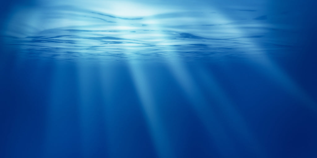 Underwater Sun Rays