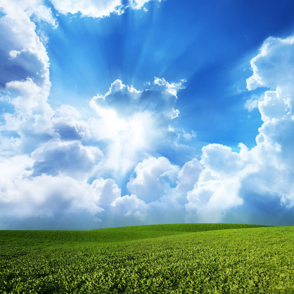 Sky and Green Meadow