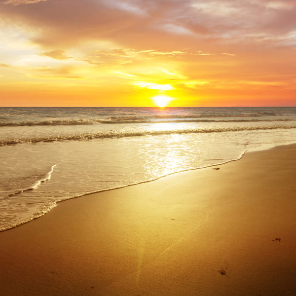 ライト・ランタン BRIESTA sunset beach 1417-2x2-light-lens_grande.jpg