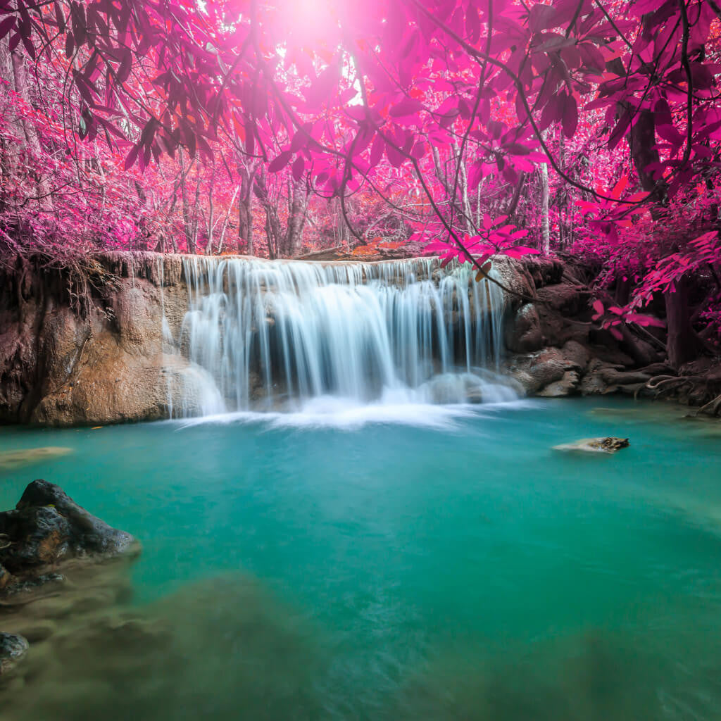 Waterfall Pink Trees