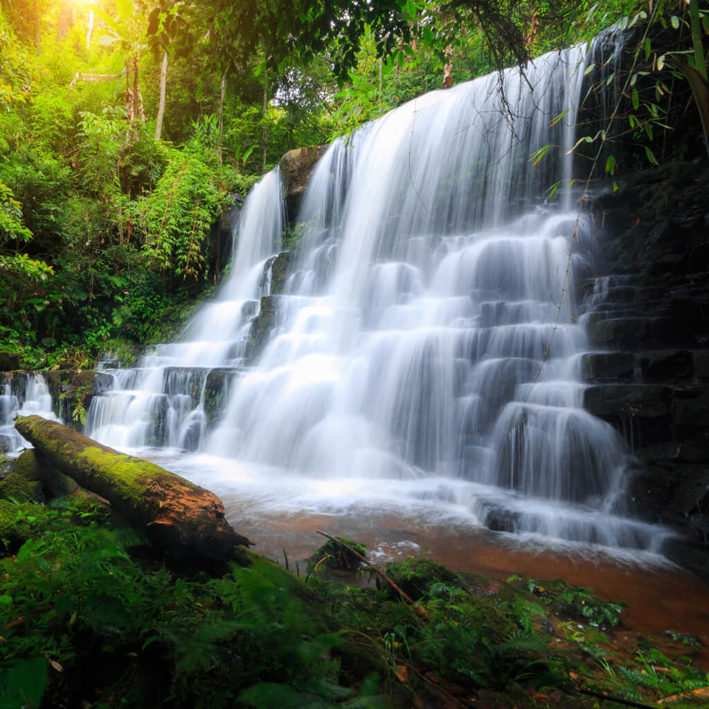 Waterfalls in Forest