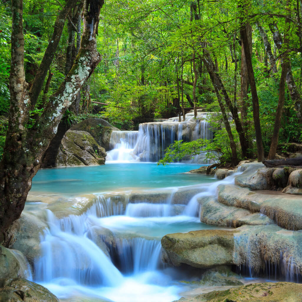 Waterfall Stream Through Woods