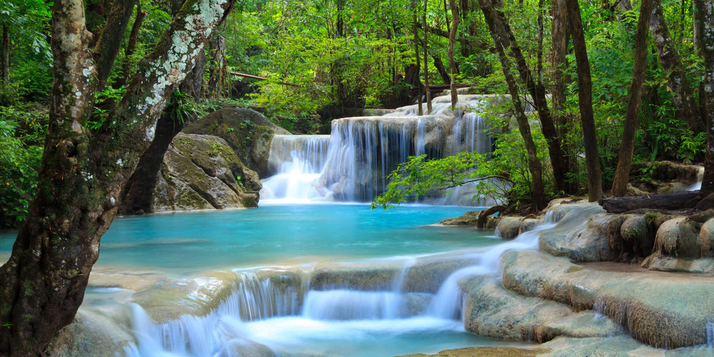Waterfall Stream Through Woods