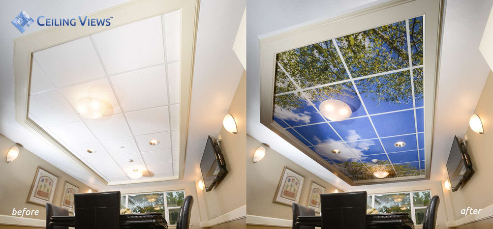 Before and After - Assisted Living
