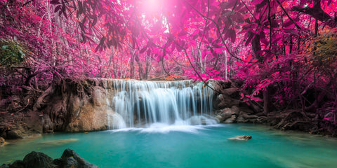 Waterfall Pink Trees