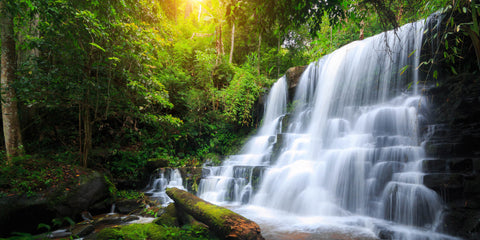 Waterfalls in Forest