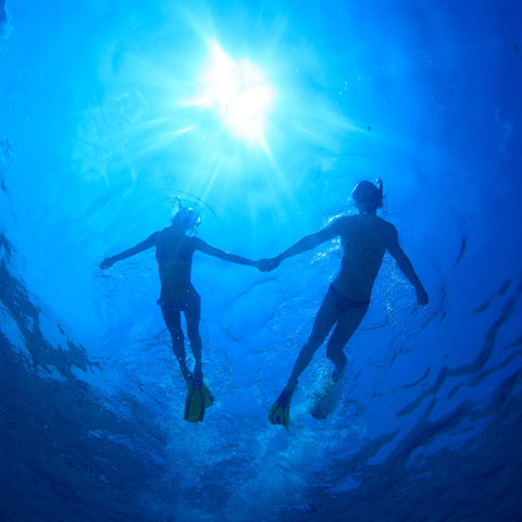 Underwater Swimmer/Diver
