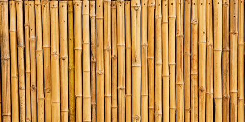Brown Bamboo
