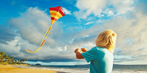 Kite and Child at Beach